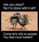 Funny pigeon refrigerator magnet 3 1/2x 4 1/2"