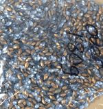 Crafting, Jewellery Making, Navette, Grey Gems Over 180g