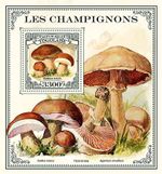 MUSHROOMS & FUNGI MNH 1v-Stamp Sheet #61 (2021 Togo)