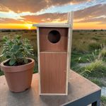 Squirrel Family House Nesting, Red Or Grey Will Live In this Box. For Ever Home