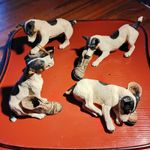 Four Lovely North Light Jack Russell Terriers With Boots Stamped