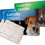 Capstar Dog Cat Flea Tablets Treatment Kills Fleas Fast 11mg 57mg - 1 or 6 Pack