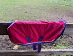 Foal 3’3” Stable Sheet