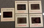 PAHLAVICROWN,EMPRESS FARAH CROWN,IMPERIAL JEWELS,RARE GROUP OF 5 X 35 mm SLIDES