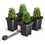 Spider Farmer 7 Gallon Deep Water Culture DWC Hydroponic System with 4 Buckets
