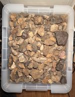 1 Kilogram Meteorite NWA lot