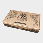The Purbeck Cider Company – Craft Cider Gift Set | 6 x 330ml cans +1 x Half Pint