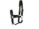 CAP BRIDLE NEW Black in 6 Sizes Soft & Shock Absorbing Underlay Lunging