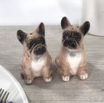French Bulldog novelty Salt & Pepper ceramic shaker set (LIVE)