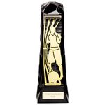 Boxing Award Shard Award Trophy 230mm IN SIZE FREE ENGRAVING