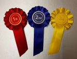 1st 2nd 3rd rosettes 1 set 3 rosettes dog show event 