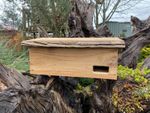 Handmade Swift Box Nesting Box Cedar Wood Nesting Boxes Natural