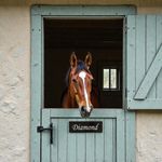 Horse Stable Name Sign Personalised Stall door plaque Granite signs 12" x 3"