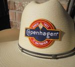 COPENHAGEN  IT SATISFIES SINCE 1822 ADHESIVE BACK CLOTH HAT PATCH 3 BY 2.25"