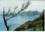 LUNDY  POSTCARD - Lundy  Roads