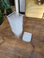 The Spider Shop Spiderling Box Aboreal - Secure Plastic Enclosures X11 - Used