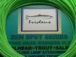 Irideus Zen 8 wt Shooting head Running Line Fly Fishing  Spey Switch fly rod