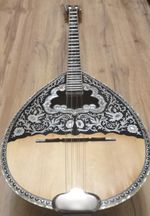 4 string greek bouzouki & hardcase & pickup & 300 backing track with pdf scores