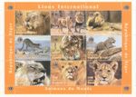 ANIMALS OF THE WORLD LION WILD CAT 1998 MNH STAMP SHEETLET