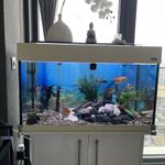 Quality Aquarium - Complete Ser Up,  Fish Tank, Cabinet, Filter, Pump, Lights.. 