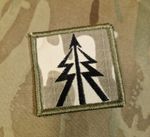 British Army Recce Tree  MTP Camo Hook & Loop Patch