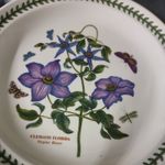 Portmeirion Botanic Garden Clematis Florida Virgins Bower 10.5" Dinner Plate