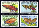 Sierra Leone Tropical Fish #959 - 962 Mint Never Hinged Complete Set
