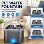 Electric Pet Water Fountain LED Cat Dog Automatic Drinking Bowl Dispenser 2L