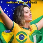 Brasil Brazil Brazilian Bandeira do Brasil Copa do Mundo 2026 World Cup Flag