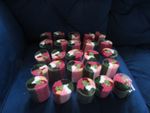 25 PACKS OF RUG MAKING MULTI-COLOURED YARN 35G PACKS FOR RUG MAKING PROJECTS
