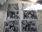 Laminated Tattoo Flash Sheets AMERICAN BULLY dog