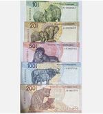 Set 5 2023 South Africa 10 20 50 100 200 Rand P 148 149 150 151 152 UNC Banknote