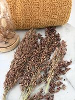 50g Natural Schelli Sprays 