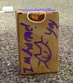 Capybara mystery box for capybara lovers
