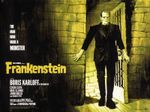 FRANKENSTEIN 1931 Quad poster print 30x40" James Whale Boris Karloff FREE P&P