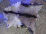 Greek Goat Skin, Goat Leather, Goat Hide, Mottled Animal Skin, Goat Pelt