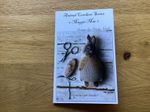 Maggie Mae Cross Stitch Chart By Stacy Nash Primitives