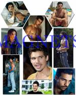 STEVEN STRAIT #1,magic city,the expanse,sky high,covenant,9pc MAGNET SET