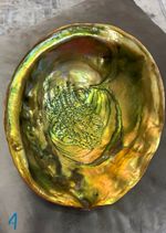 Large 19cm Natural Abalone Shell Trinket Dish • Iridescent Home Decor • Jeweller