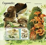 MUSHROOMS & FUNGI MNH 1v-Stamp Sheet #208 (2022 Guinea-Bissau)