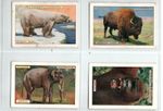 PLAYERS: Natural History 1924 Full Set X12 Cigarette Cards