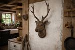 Stag Head, wall art, animal head, stag head,large wall mounted deer head