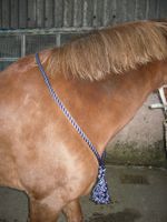 EASY-DOES-IT CORDEO for PARELLI BRIDLELESS RIDING, NATURAL HORSEMANSHIP