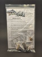 'Dino Pack' Fossil Bundle – 4 Genuine Dinosaur Fossils