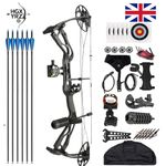 Compound Bow Set 0-70lbs 320FPS Sight Carbon Arrows Feathers Archery Shoting