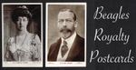 Beagles ☆ ROYALTY ☆ 1900 to 1930s Postcard Selection #269 to #534