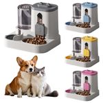 2 in 1 Automatic Cat Feeder Water Dispenser Dry Wet Pet Dog Puppy Food Dispenser