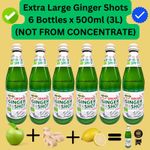 6 x 500ml (3L) Ginger Shots ORGANIC Extra Large, Lemon + Ginger + Apple Solevita
