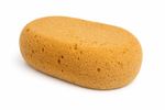 Sito Oval Car Sponge Universal Round Interior Car Wash Sponge