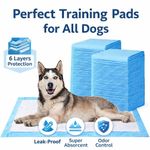 60-600 Large Puppy Potty Training Pee Pads 60x60cm Toilet Pads Dog Pet Cat Mats